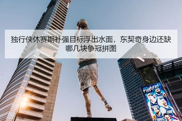独行侠休赛期补强目标浮出水面，东契奇身边还缺哪几块争冠拼图